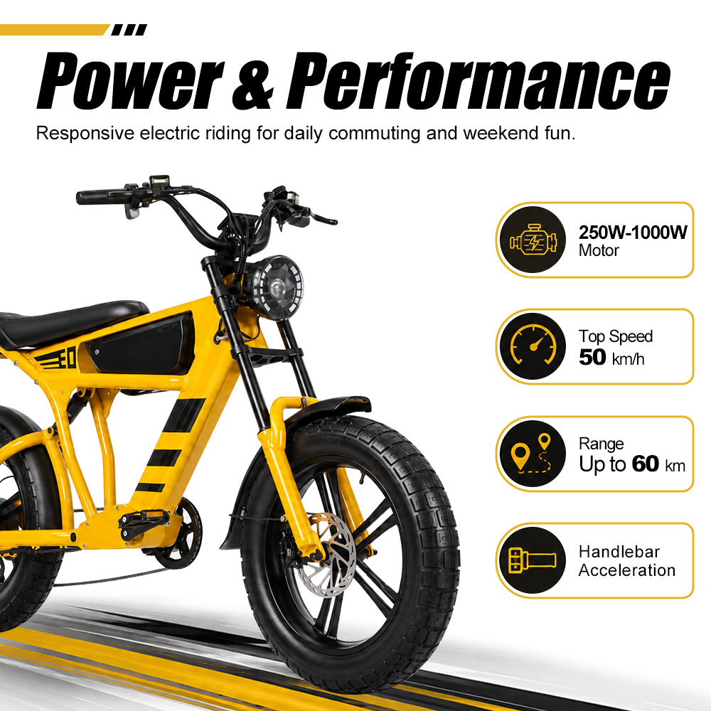 48V 18.2Ah 1000W Fat Tire Elec - Cycling Commute Speed review and price
