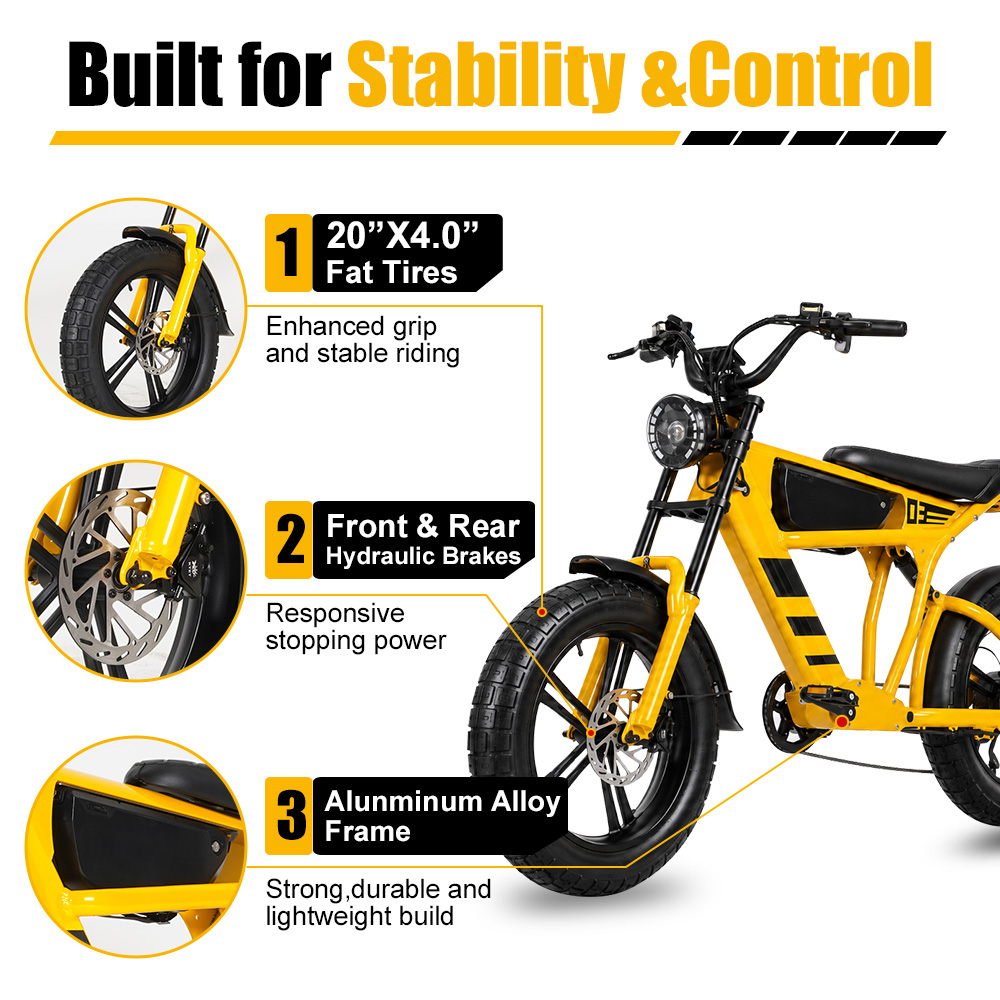 48V 18.2Ah 1000W Fat Tire Elec - Cycling Commute Speed review and price